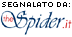 TheSpider.it